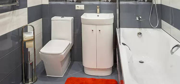 Hansgrohe Shaving Mirror Napa
